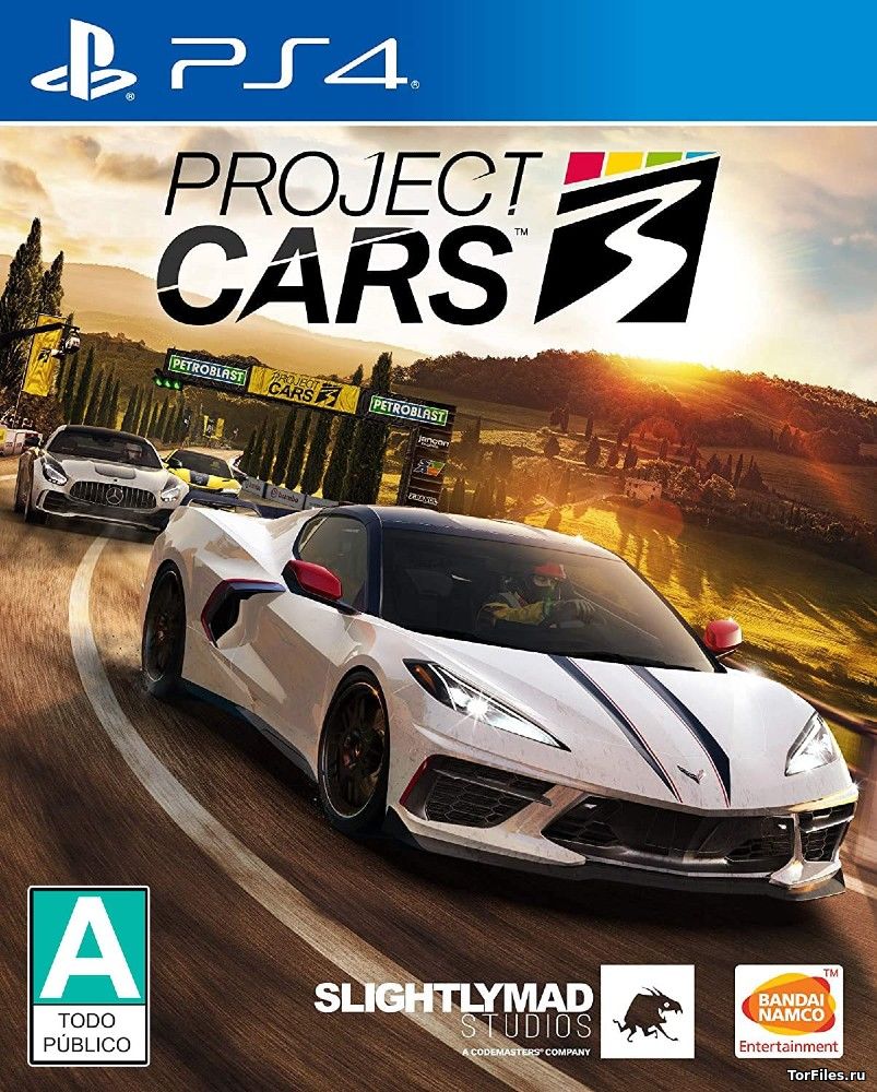 [PS4] Project CARS 3 [EUR/RUS]